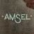 Richard Amsel signature
